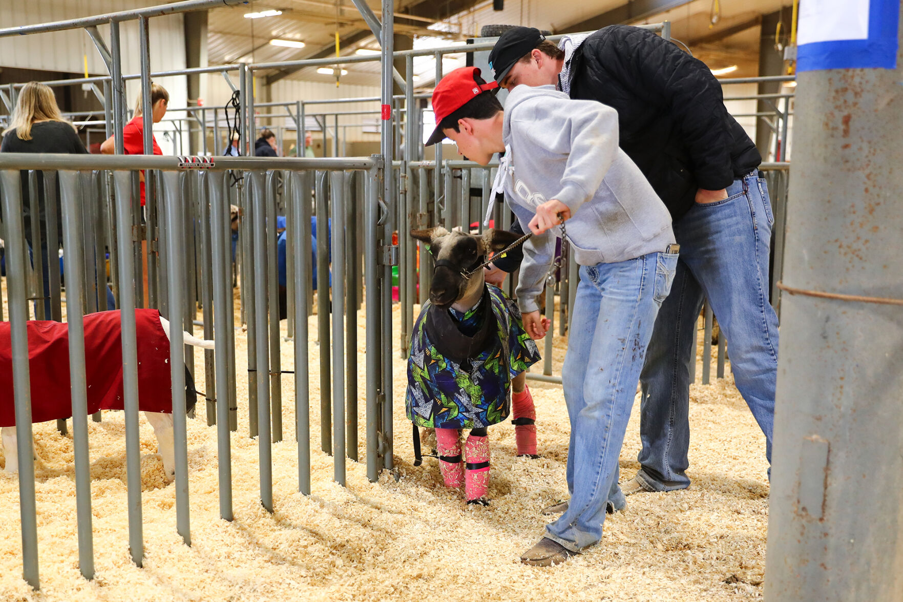 Brazos Valley Youth Livestock Show